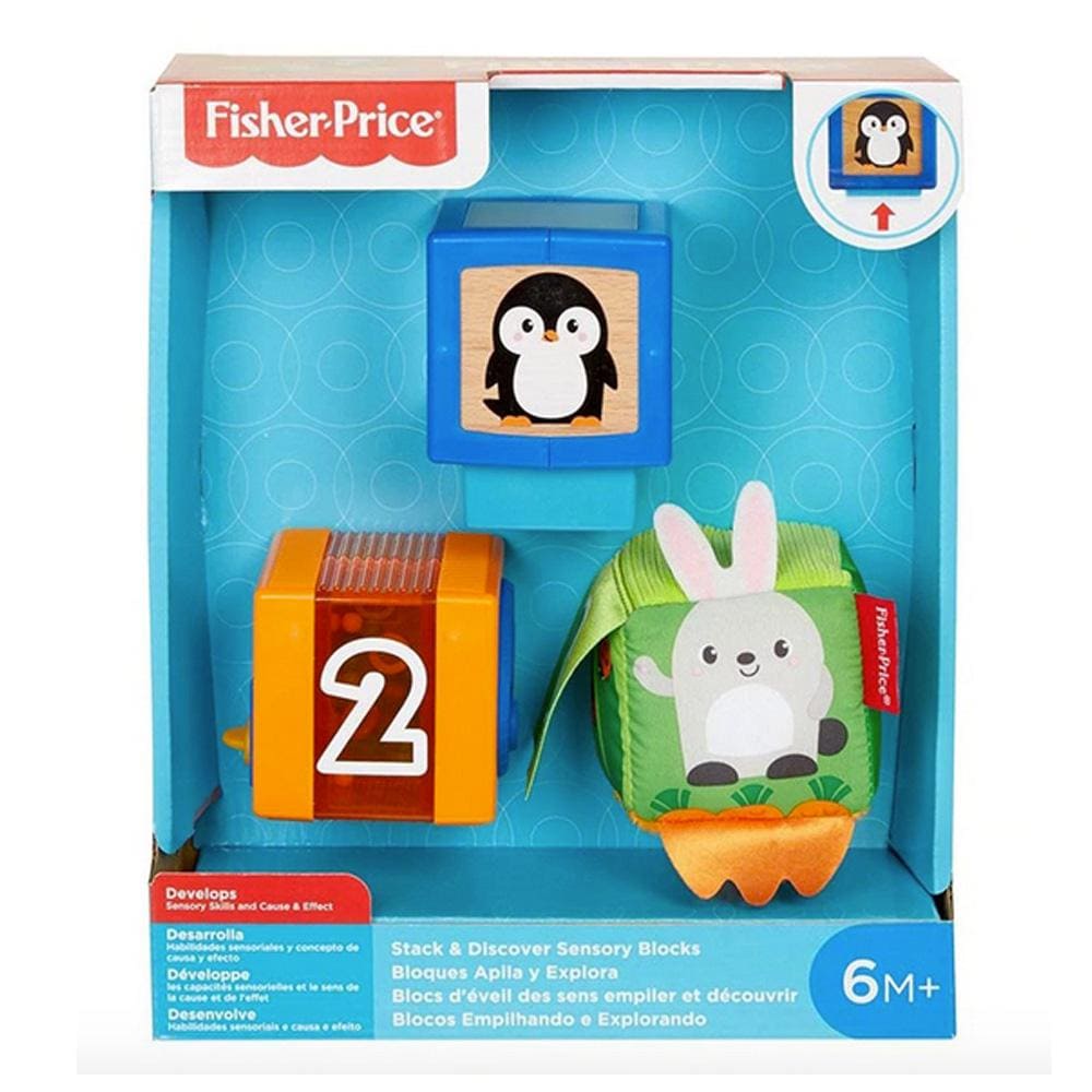 sensory blocks fisher price