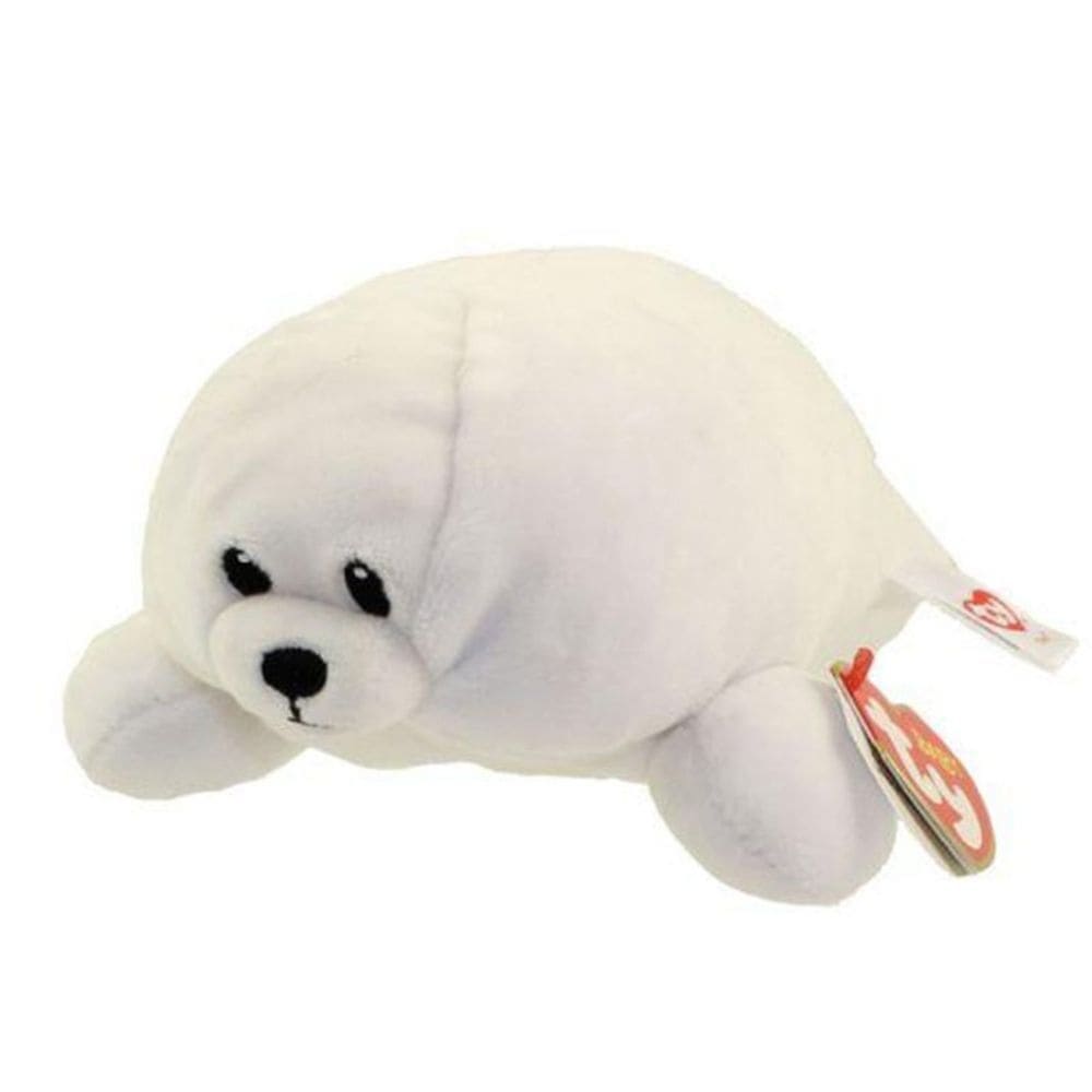 foca ty