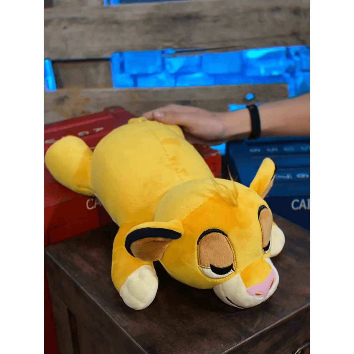 Pelucia 30Cm Simba Cuddleez Fun F0064 5 Bumerang Brinquedos